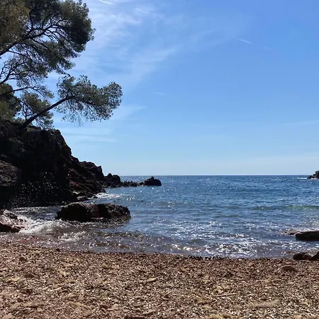 アパート Avec Terrasse Et Jardin Saint-Raphaël